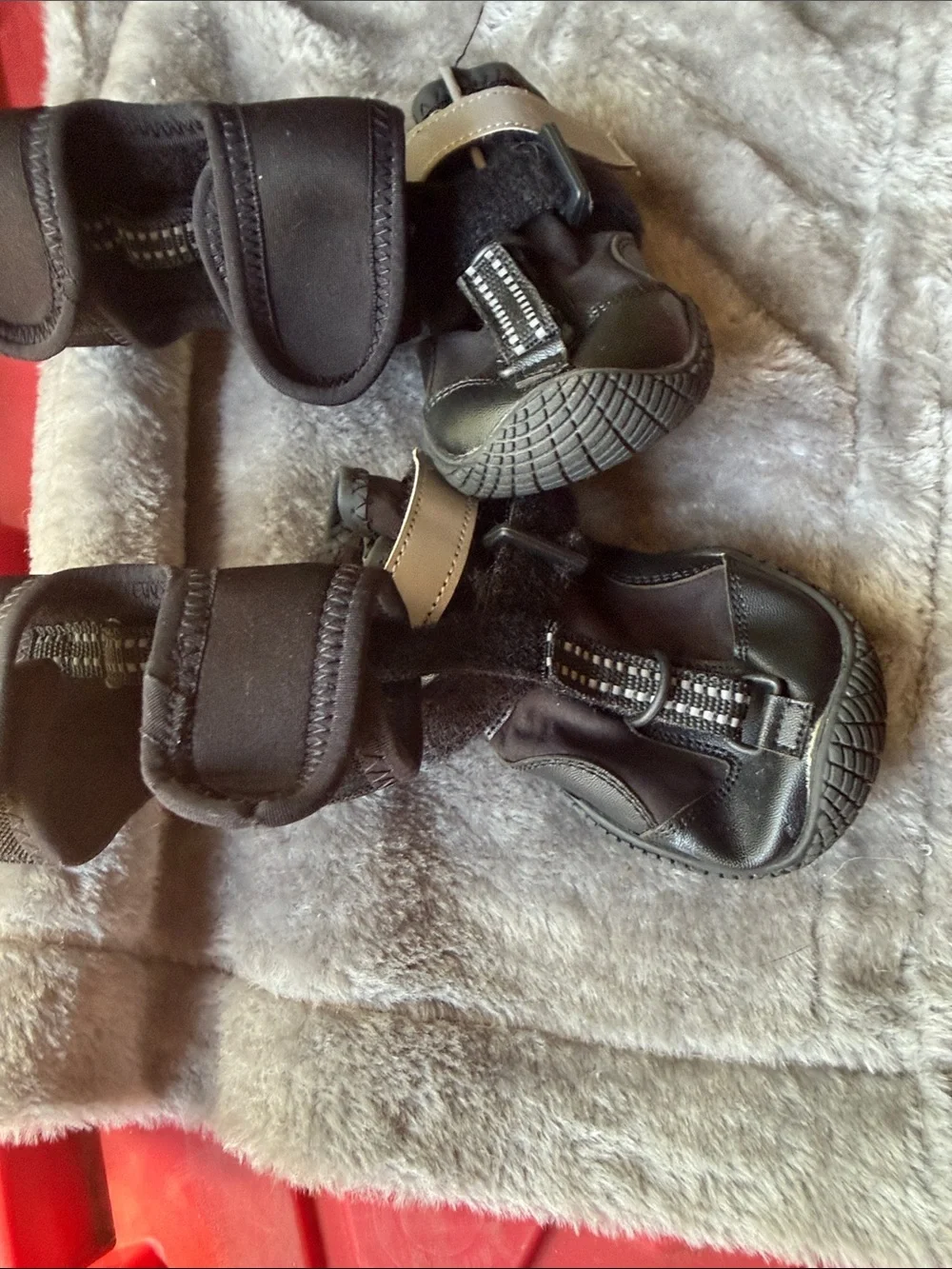 Protective Dog Boots braces